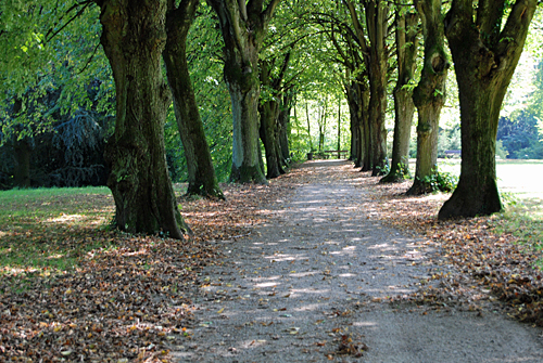 Parkanlage