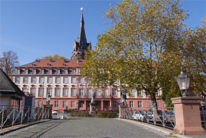 Schloss der Grafen zu Erbach- Erbach