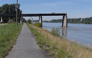Reste der alten Rheinbrücke