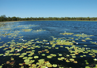 Top End - Darwin -Flughafen-