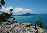 Whitsundays