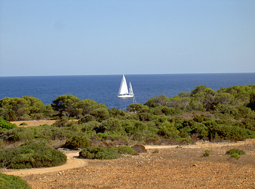 Mallorca - Traumhafte  Insel im Mittelmeer