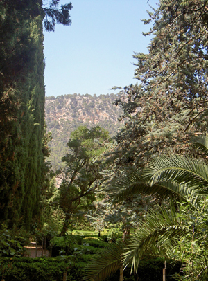 Mallorca - Valdemossa