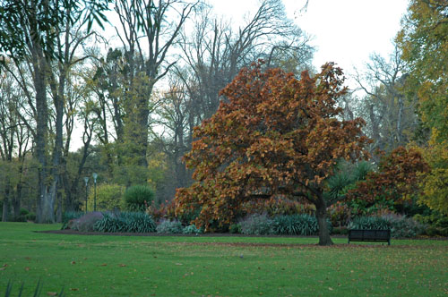 Melbourne -Fitzroy Gardens