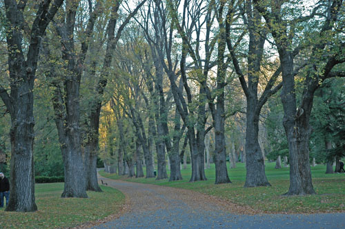 Melbourne - Fitzroy Gardens