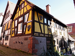 Michelstadt - Elefantenhaus