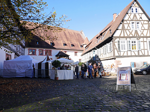 Michelstadt - Burg Michelstadt -"Kellerei"