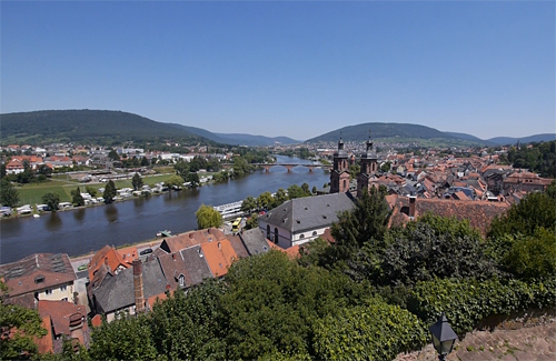 Blick auf Miltenberg