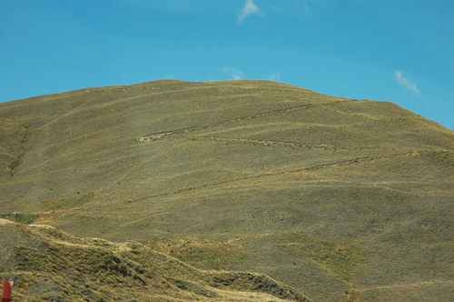 Neuseeland - Südinsel - Cardrona Road