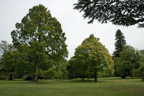 Neuseeland - Südinsel - Christchurch - Garden City - Hagley Park