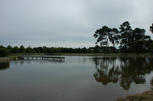 Neuseeland - Südinsel - Christchurch - Garden City - Hagley Park