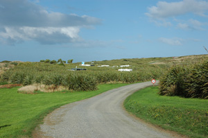 Neuseeland - Südinsel - Curio Bay