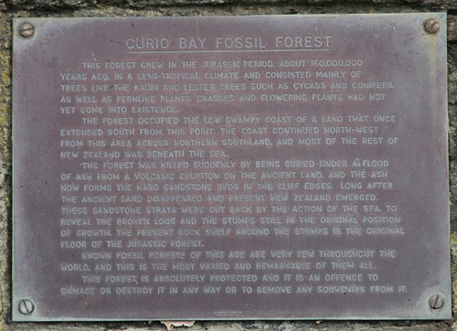 Neuseeland - Südinsel - Curio Bay