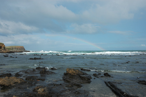 Neuseeland - Südinsel - Curio Bay