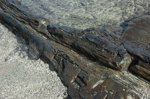 Neuseeland - Südinsel - Curio Bay