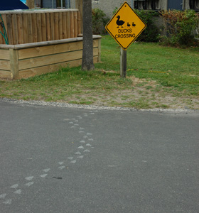 Neuseeland - Südinsel  - Dunedin - Campingplatz