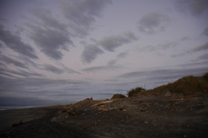 Neuseeland - Südinsel - Hokitika - Strand