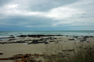 Neuseeland - Südinsel -Kaka Point