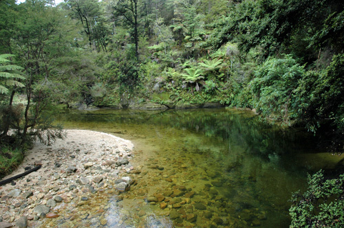 Neuseeland - Südinsel - Abel Tasman National  Park - Cleopatras Pool