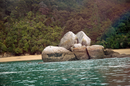 Neuseeland - Südinsel - Marahau -Split Apple