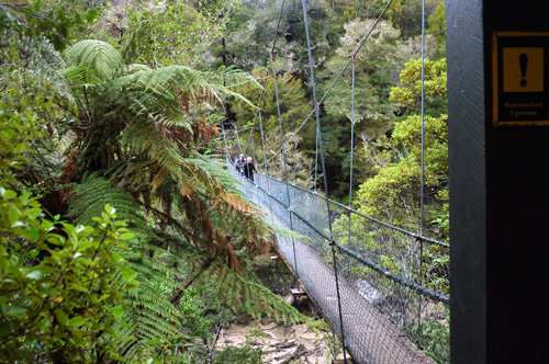 Neuseeland - Südinsel - Abel Tasman National  Park -Hängebrücke