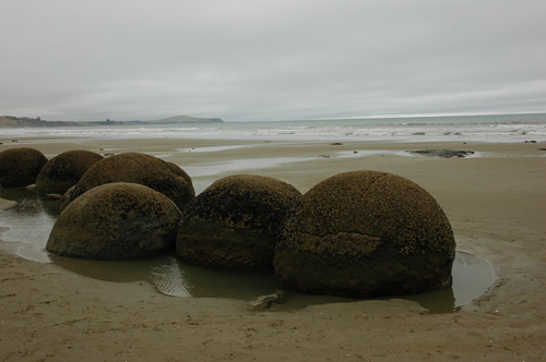 Neuseeland - Südinsel - Moeraki Boulders
