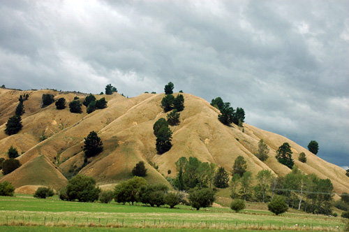 Neuseeland - Südinsel - Reisetipps