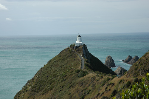 Neuseeland - Südinsel - Nugget point