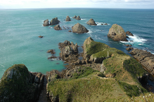 Neuseeland - Südinsel - Nugget point