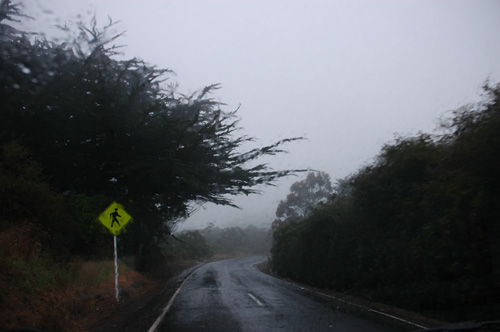 Neuseeland-Südinsel - Otago Peninsula