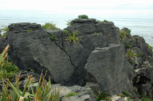 Neuseeland - Südinsel - Pancake Rocks