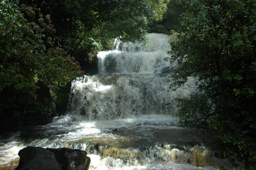Neuseeland - Südinsel - Purakaunui Falls