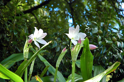 Neuseeland - Südinsel - Richmond