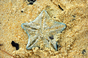 Neuseeland - Südinsel - Richmond