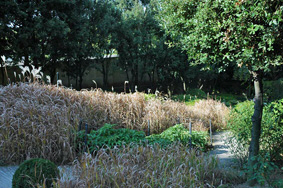 Paris - Parc-André-Citroen - " Jardins Serielles"