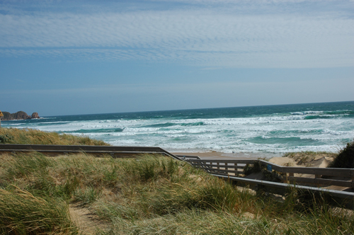 Phillip Island - Hintergrund "Nobbies"
