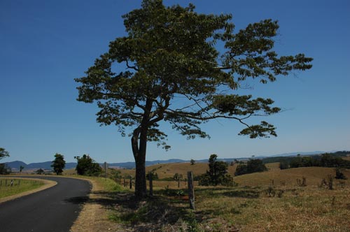 Artherton Tablelands - Hochebene