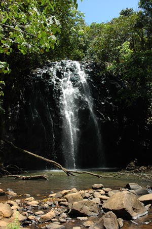 North Queensland - Atherton Tablelands -Ellinjaa Falls