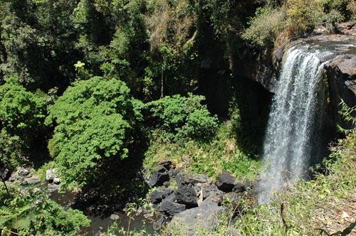 North Queensland - Atherton Tablelands -Zillie Falls