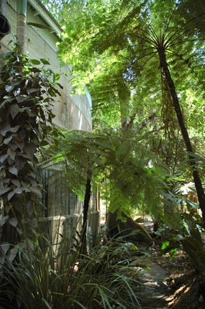 North Queensland - Cairns -Tanks Art Centre