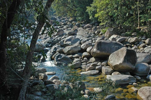 North Queensland - Daintree Nationalpark - Mossman Gorge