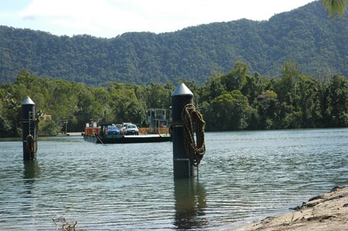 North Queensland -  Cape Tribulation und Daintree National Park