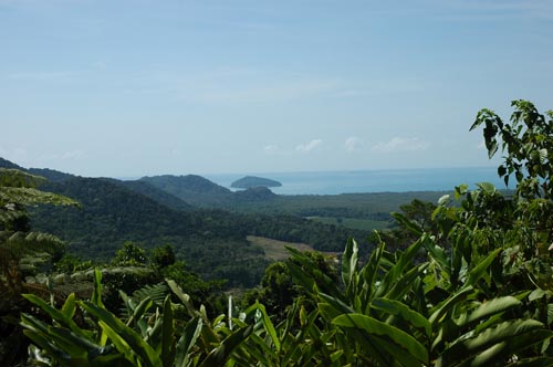 North Queensland -  Cape Tribulation und Daintree National Park
