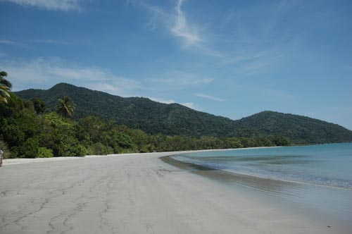 North Queensland -  Cape Tribulation 