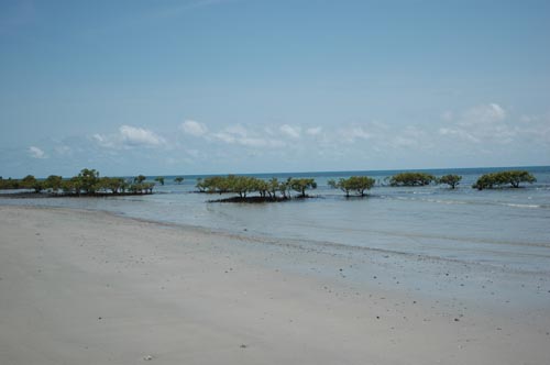 North Queensland -  Cape Tribulation 