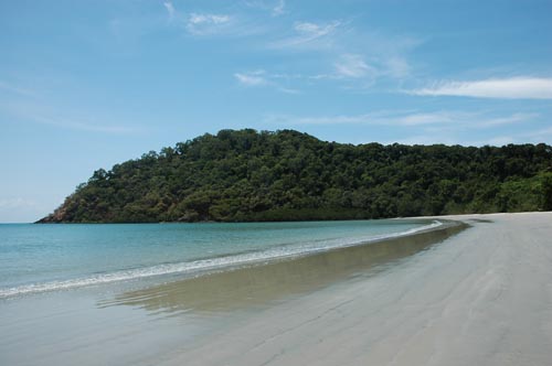 North Queensland -  Cape Tribulation 