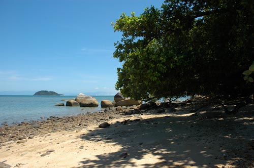North Queensland - Dunk Island -Coconut Beach