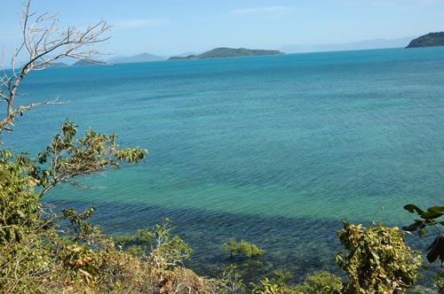 North Queensland - Dunk Island -Coconut Beach