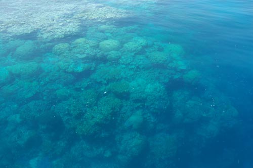 North Queensland - Great Barrier Reef -Korallenbänke