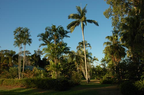 North Qeensland - Mission Beach